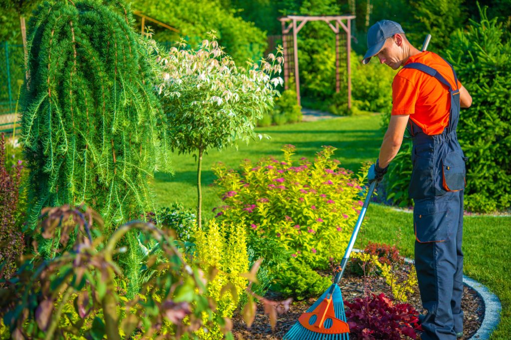 Jardinier - trust-multiservices